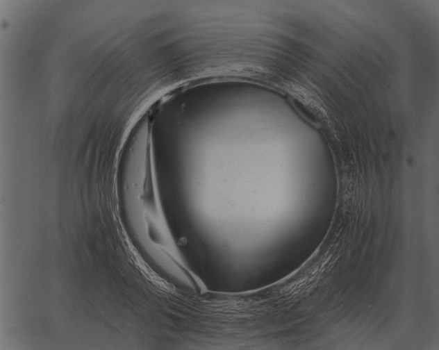 X0000062650792200601111150