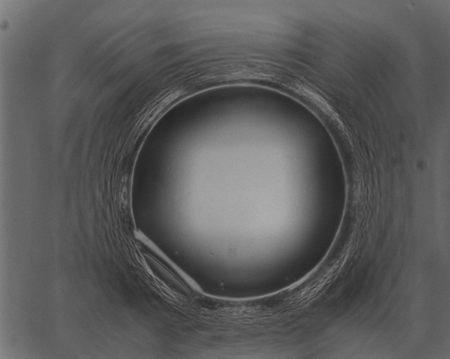 X0000062650793200601111150