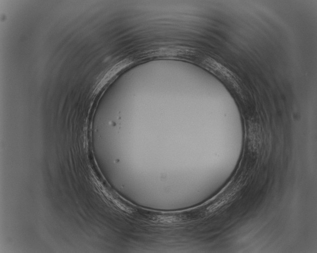 X0000062650794200601111150