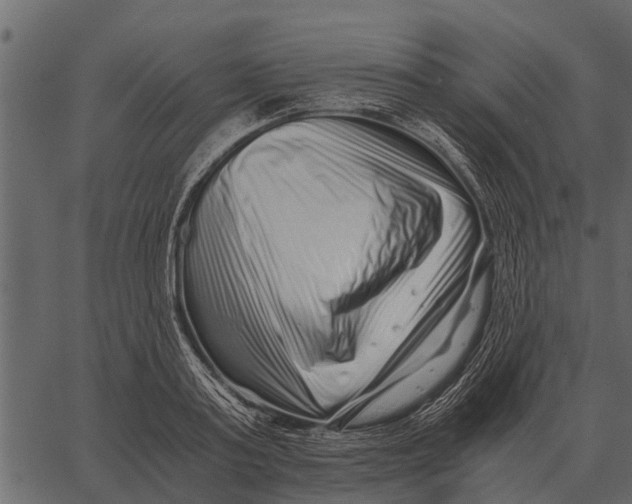 X0000062650795200601111150