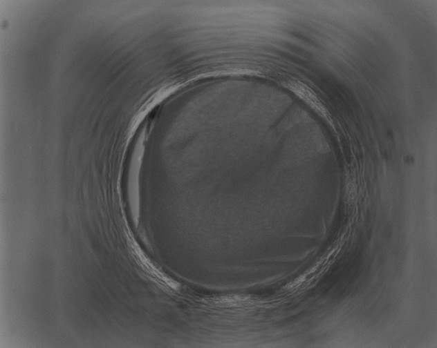 X0000062650797200601111150