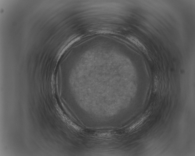 X0000062650798200601111150