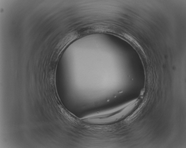 X0000062650801200601111150