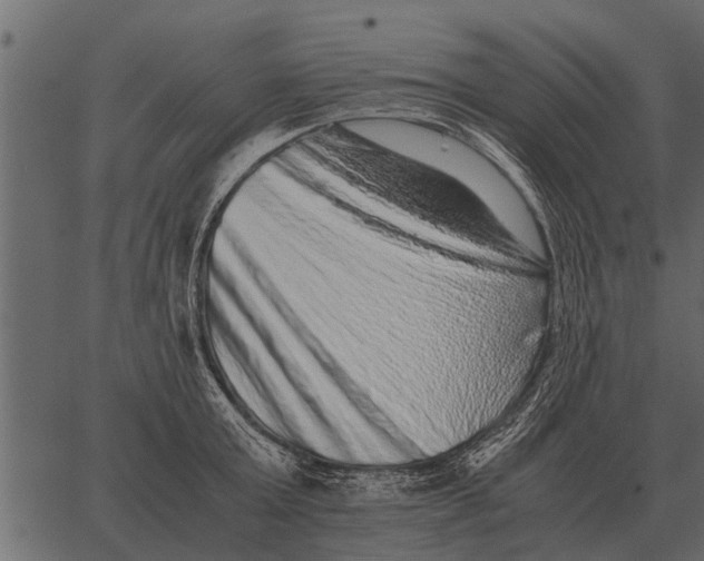 X0000062650803200601111150