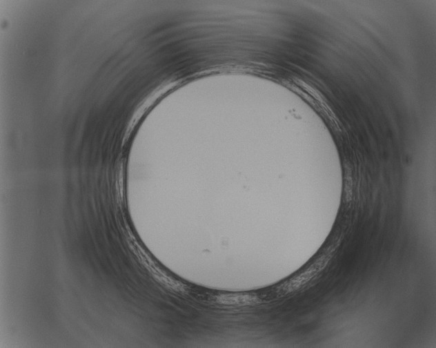 X0000062650804200601111150