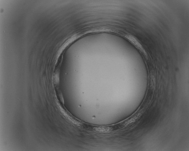 X0000062650805200601111150