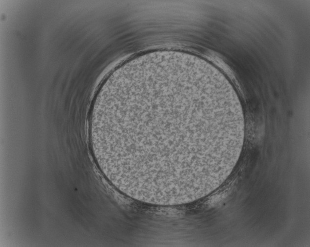 X0000062650807200601111150