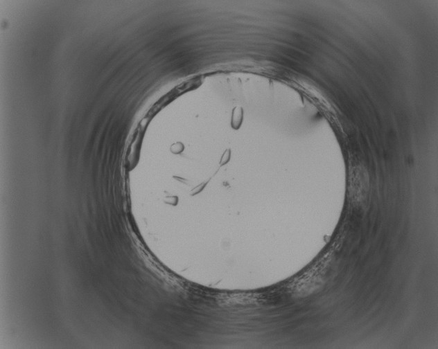 X0000062650808200601111150