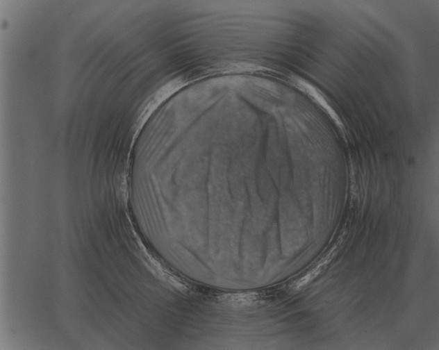 X0000062650810200601111150