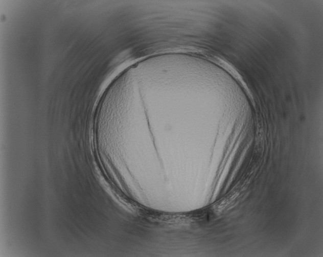 X0000062650811200601111150