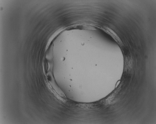 X0000062650812200601111150