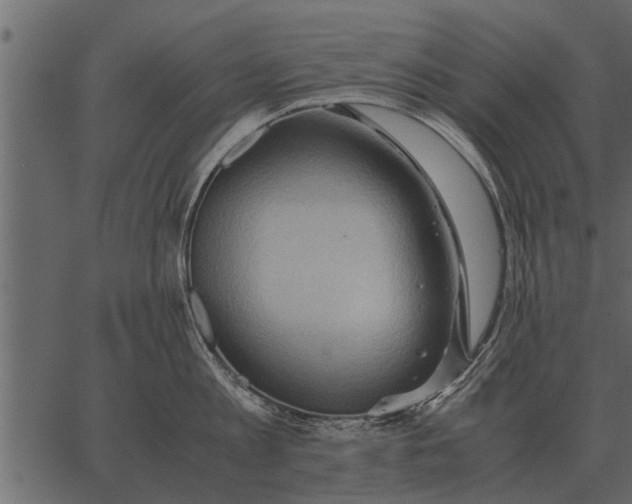 X0000062650813200601111150