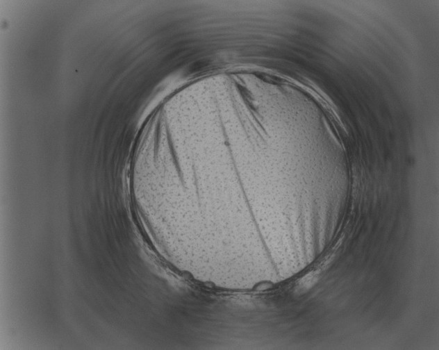 X0000062650814200601111150