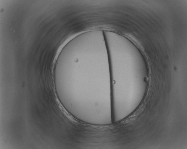 X0000062650816200601111150