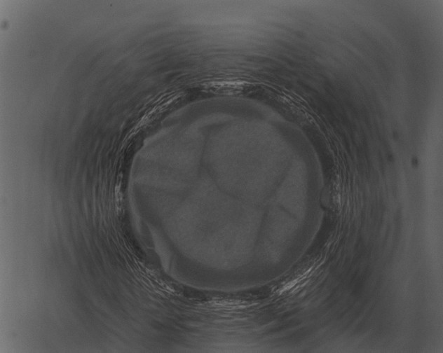 X0000062650818200601111149