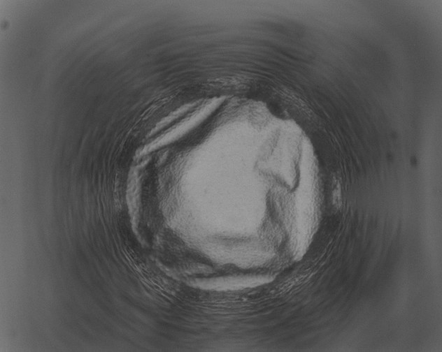 X0000062650819200601111149