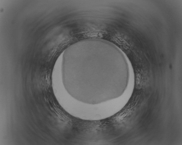 X0000062650820200601111149