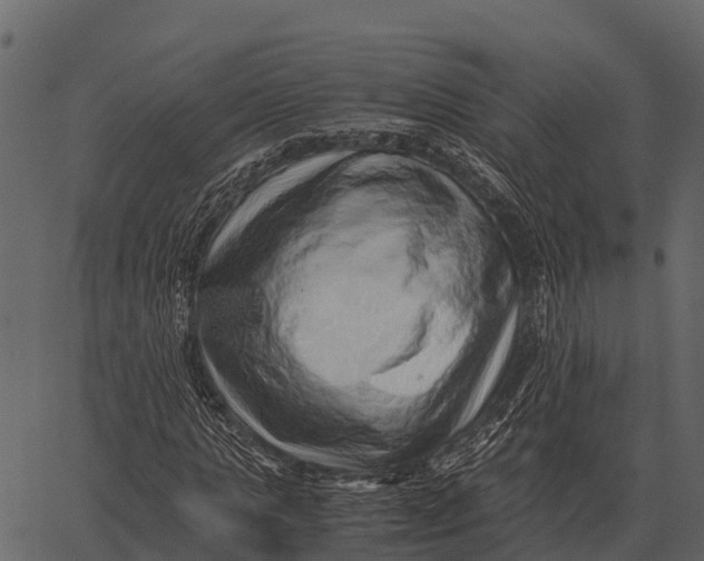 X0000062650821200601111149