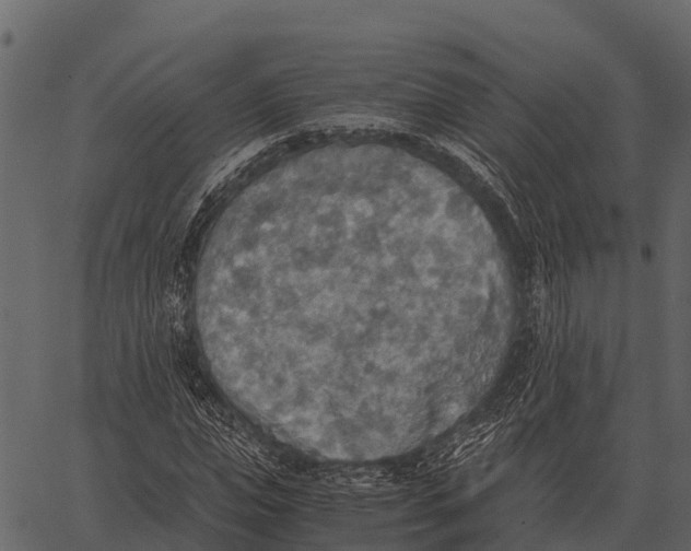 X0000062650823200601111149