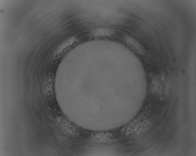 X0000062650824200601111149