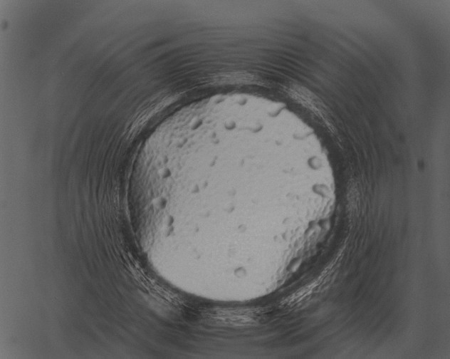 X0000062650825200601111149