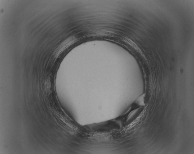 X0000062650826200601111149