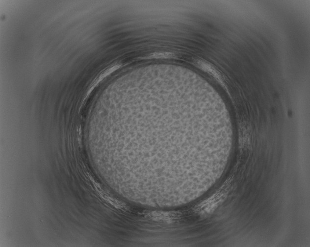 X0000062650827200601111149