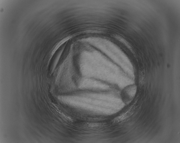 X0000062650829200601111149