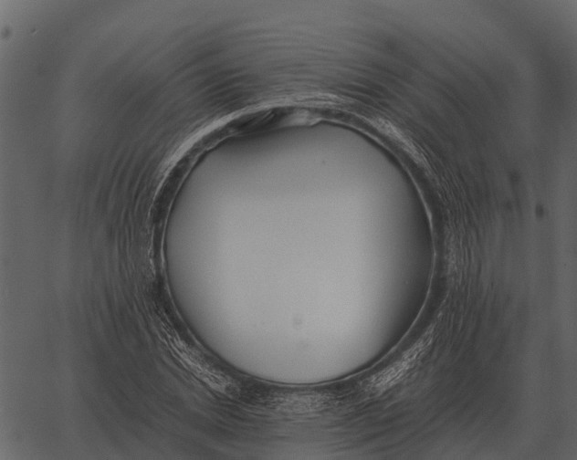 X0000062650830200601111149