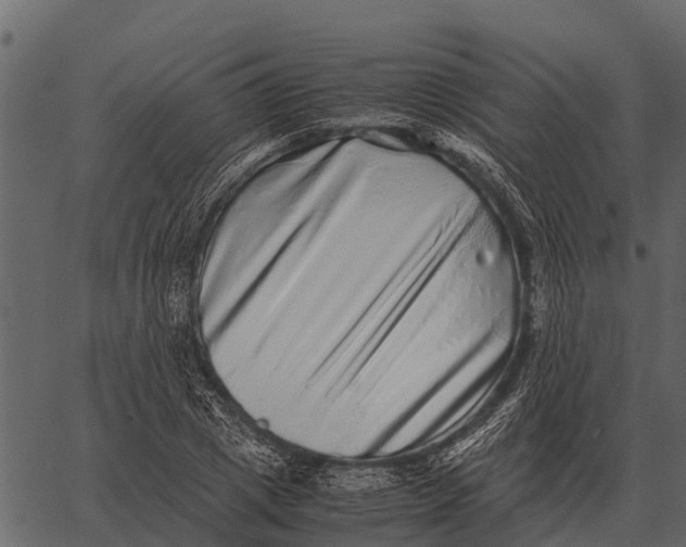 X0000062650833200601111149