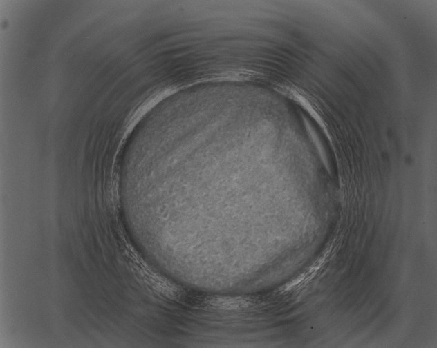 X0000062650835200601111149