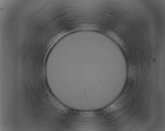 X0000062650836200601111149