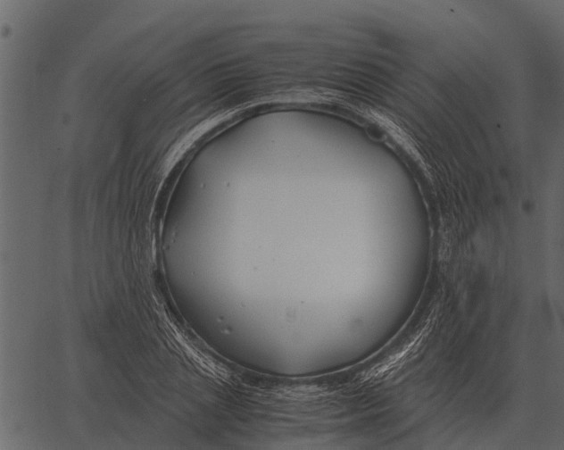 X0000062650837200601111149