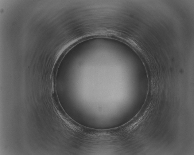 X0000062650838200601111149