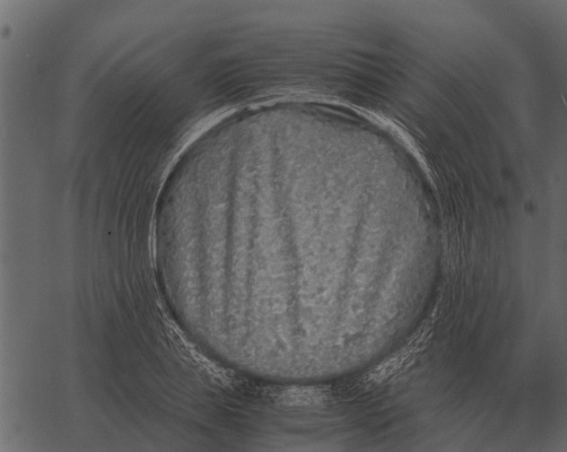 X0000062650839200601111149