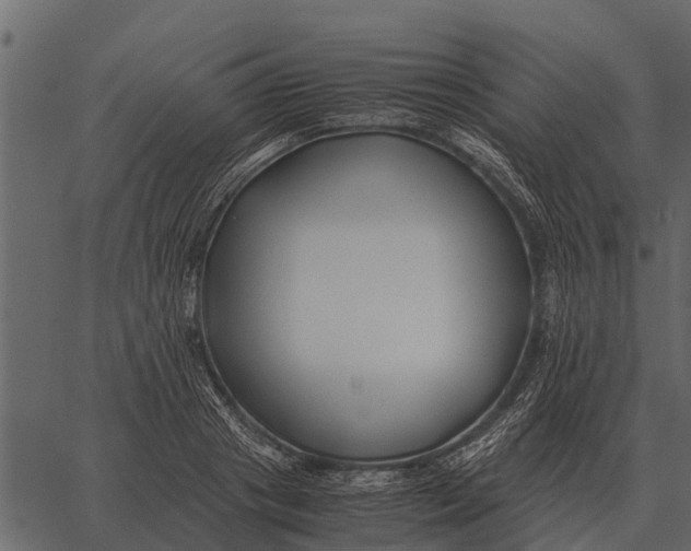 X0000062650841200601111149