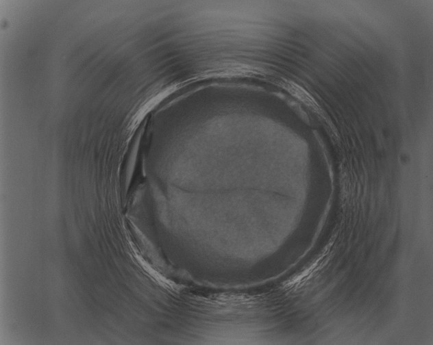 X0000062650842200601111149