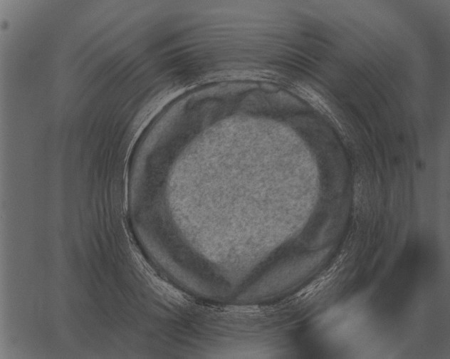 X0000062650844200601111149