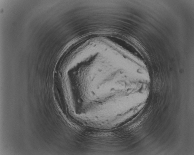 X0000062650845200601111149