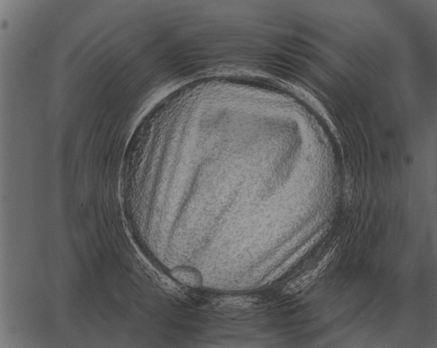 X0000062650847200601111149