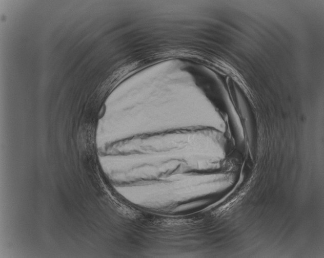 X0000062650849200601111150