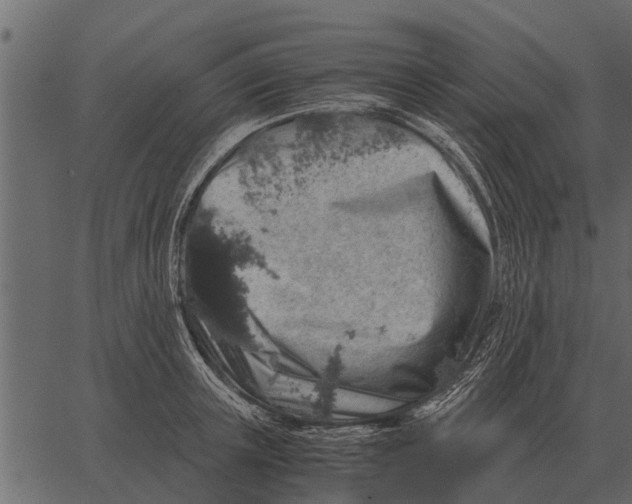 X0000062650851200601111150