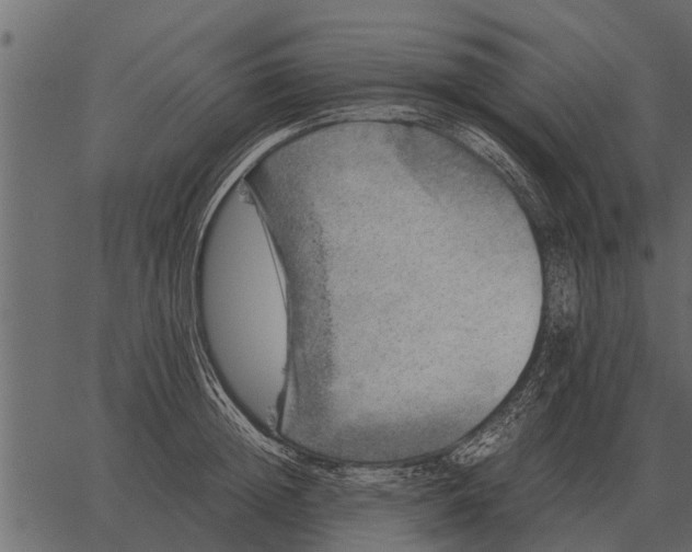 X0000062650852200601111150