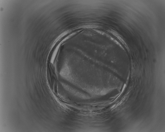 X0000062650853200601111150