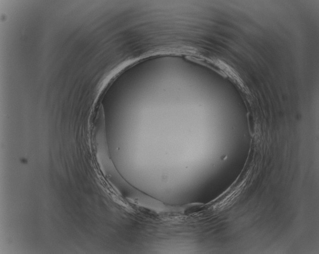 X0000062650854200601111150