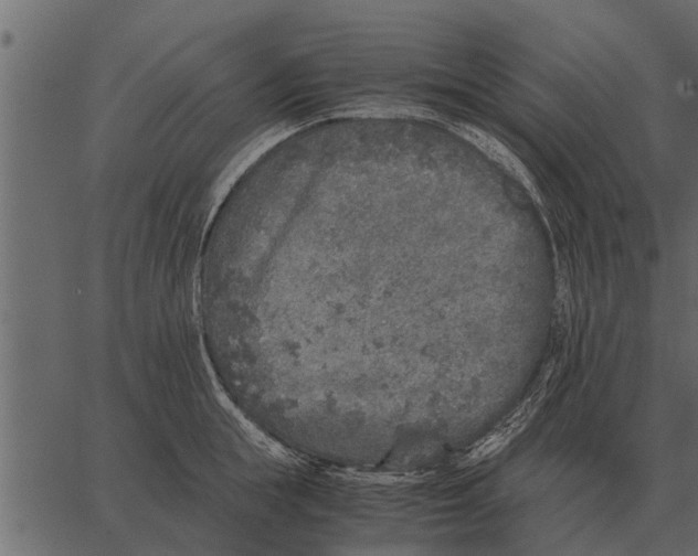 X0000062650855200601111150