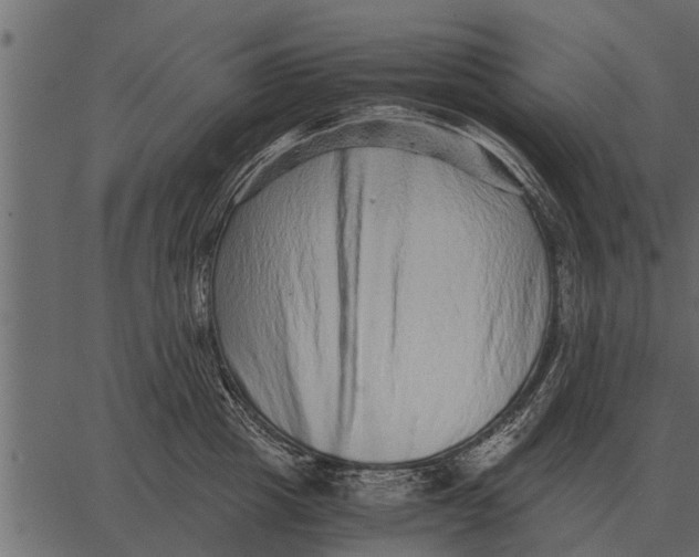 X0000062650857200601111150