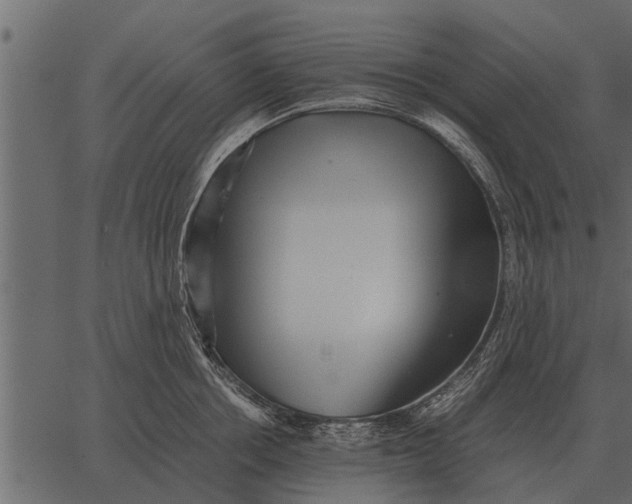 X0000062650858200601111150