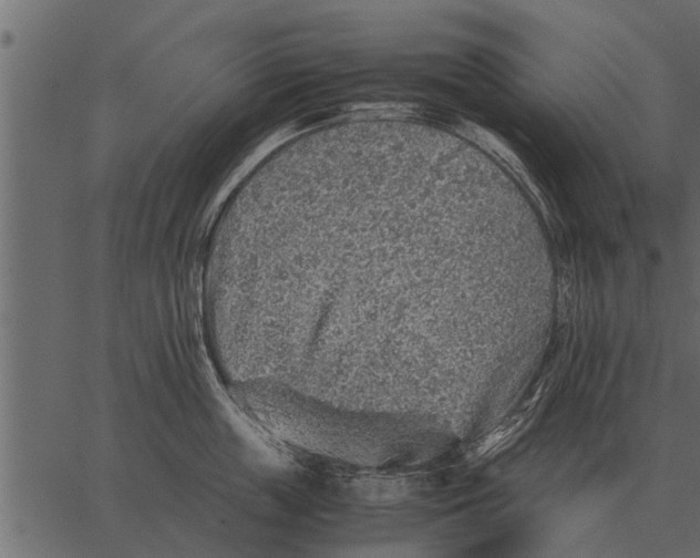 X0000062650859200601111150