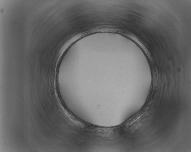 X0000062650861200601111150